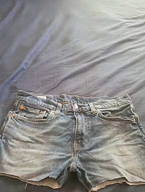 Signature by Levi Strauss Men's Washed Blue Relaxed Denim Cutoff Shorts
